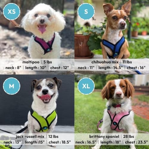 Gooby Comfort X Step-in Lite Harness, Choke-Free, Flamingo Pink - Image 5