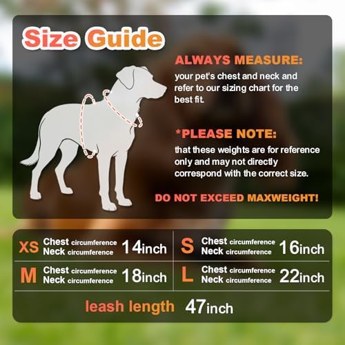 Dog Harness Medium Sized Dogs, Puppy Harness and Leash Set - Image 6