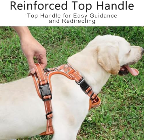 Timos Dog Harness, No Pull Large Sized - Image 6