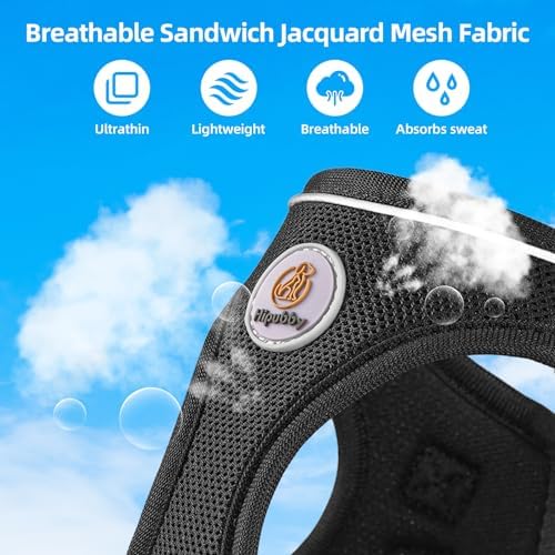 Hipubby Dog Harness and Leash Set, No Pull Soft Mesh Puppy Harness - Image 4
