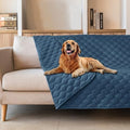 gogobunny Waterproof Pet Blanket by gogobunny
