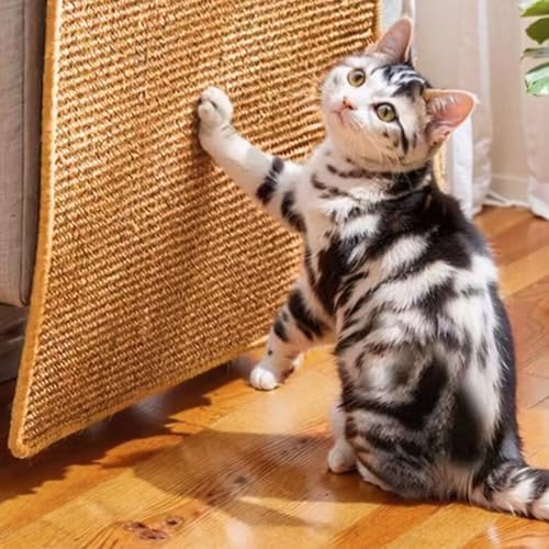 Cat Scratch Pad, Sisal Scratcher Mat Rug, 23.6x15.7in, Furniture Protector - Image 3