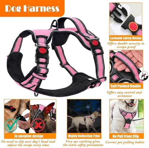 LOBEVE No Pull Dog Harness, Collar & Leash Set - Image 4