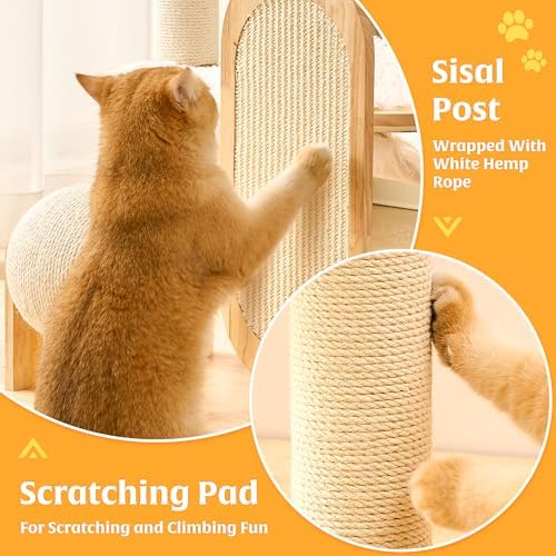 HITTITE Solid Wood Cat Tree Tower - Image 3