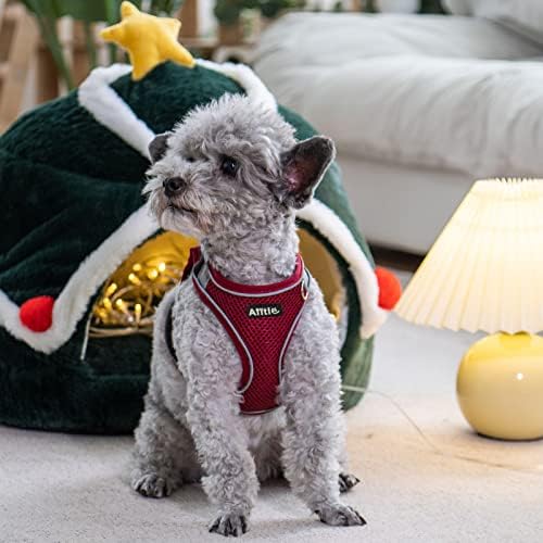 AIITLE Dog Harness and Leash Set, Step-in Puppy Pet Vest, Burgundy XXXS - Image 3