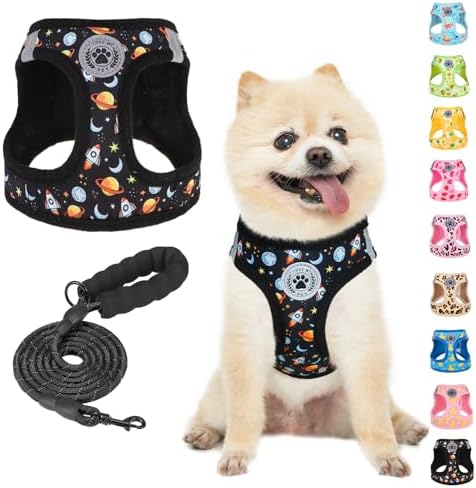 BEAUTYZOO Small Dog Harness and Leash Set, No Pull Puppy Pet Vest-Planet by BEAUTYZOO