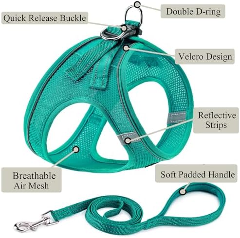 Dog Harness with Leash Set, Step-in Adjustable Puppy Vest, Forest Green XS - Image 2