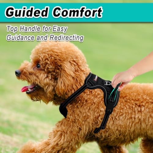 BARKBAY Dog Harness for Small Sized Dog No Pull Mesh 2 Clips Dog Vest - Image 4