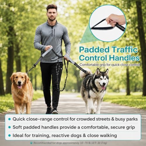wikiRay Double Dog Leash Coupler - Image 5