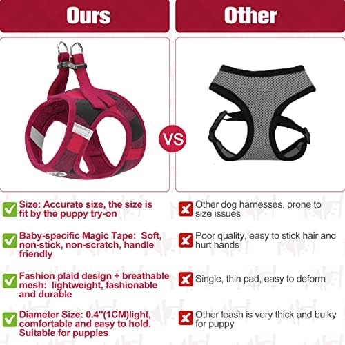 BEAUTYZOO Small Dog Harness and Leash Set, Step in No Choke No Pull Soft Mesh - Image 4