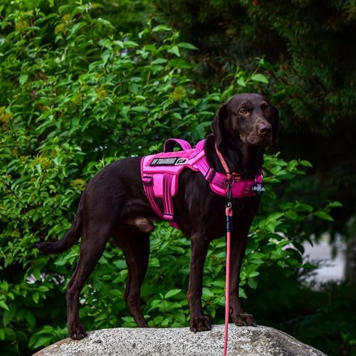 Dog Harness Medium Sized Dog, No Pull Dog Vest - Image 4