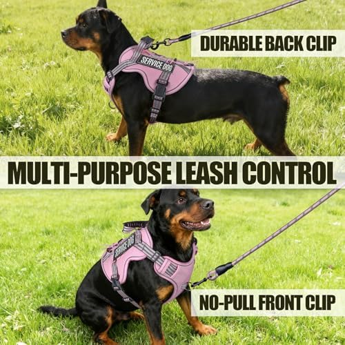 Dog Harness and Leash Set for X-Large Dogs, No Pull Tactical Dog Harness - Image 6