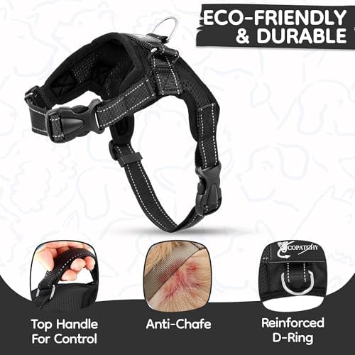 Dog Harness Small Sized Dogs - Image 4