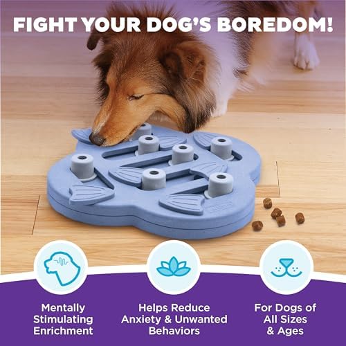 Outward Hound Nina Ottosson Dog Hide N' Slide Dog Toy Treat Puzzle - Image 2