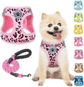 BEAUTYZOO Small Dog Harness and Leash Set, No Pull Puppy Pet Vest by BEAUTYZOO