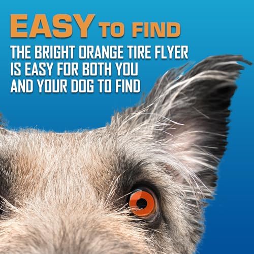Nerf Dog Atomic Flyer Outdoor Dog Toy, 10 Inch Flying Disc Dog Fetch Toy - Image 6