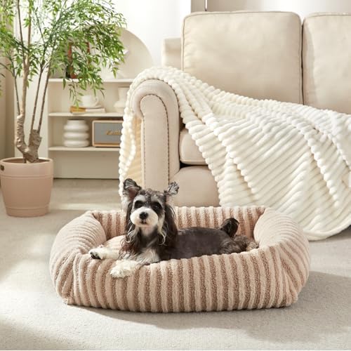 MIXJOY Dog Bed for Medium Small Size Dog, Washable Medium Dogs Bed by MIXJOY