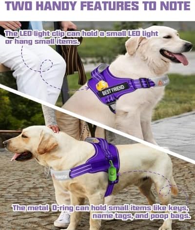 AUROTH Dog Harness and Leash Set - Image 5