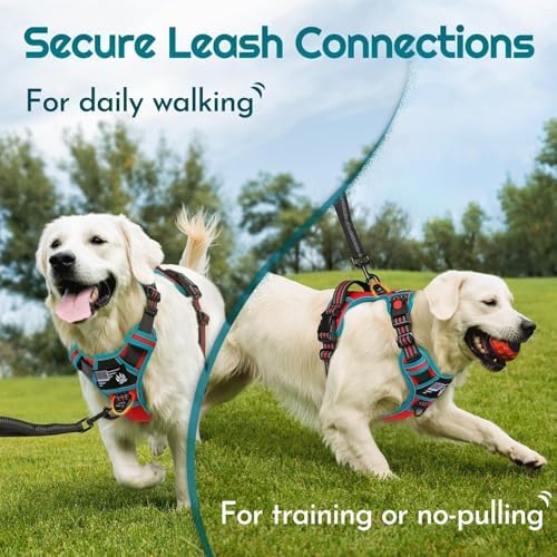 Eagloo Dog Harness No Pull for Medium Dogs, Easy On & Off - Image 4