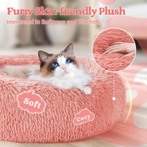 rabbitgoo Calming Cat Beds for Indoor Cats, 20 inches - Image 2