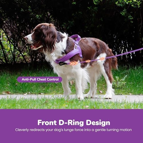 Didog No Pull Dog Harness for Small Dogs, Breathable Mesh Padded - Image 5