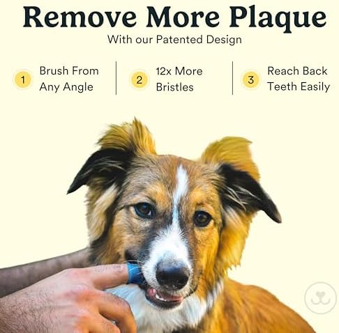 Jasper Dog Toothbrush, 360° Finger Toothbrush - Image 2