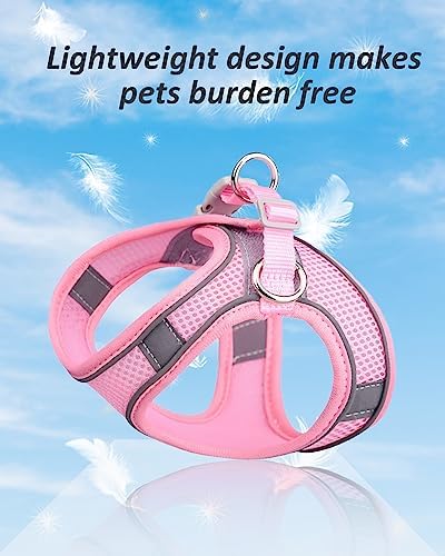 SOLMOONY Dog Harness for Small Medium Dogs No Pull, Puppy and Leash Set - Image 3
