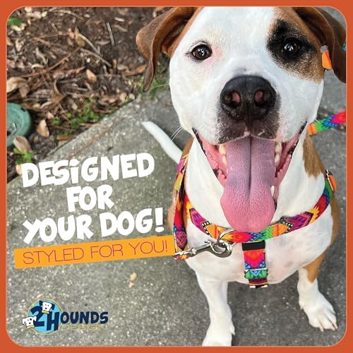 2 Hounds Design Freedom No Pull Dog Harness and Leash, Royal Blue - Image 7