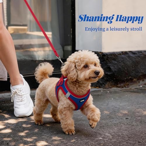 No Pull Dog Puppy Harness and Leash Set Reflective Mesh Vest Medium - Image 6