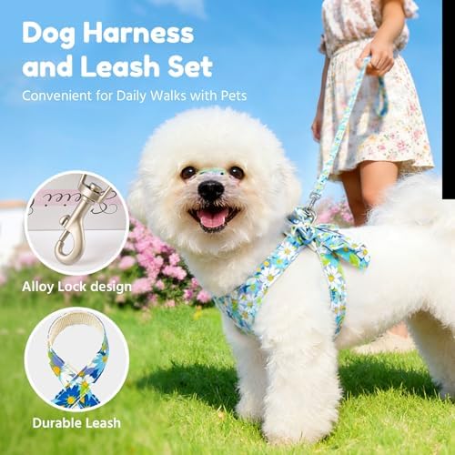 BAEJMJK Dog Harness and Leash Set - Image 7