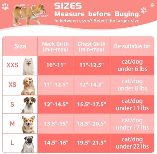 Soft Mesh Dog Harness and Leash Set, No Pull Puppy Harness and Leash Set - Image 4
