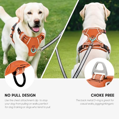 Timos Dog Harness Large Sized, Quick Release Buckles - Image 5