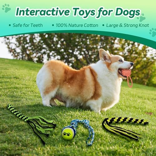 Flirt Pole for Dogs, Interactive Toys Tug-of-war for Pet, Durable Teaser Wand - Image 3