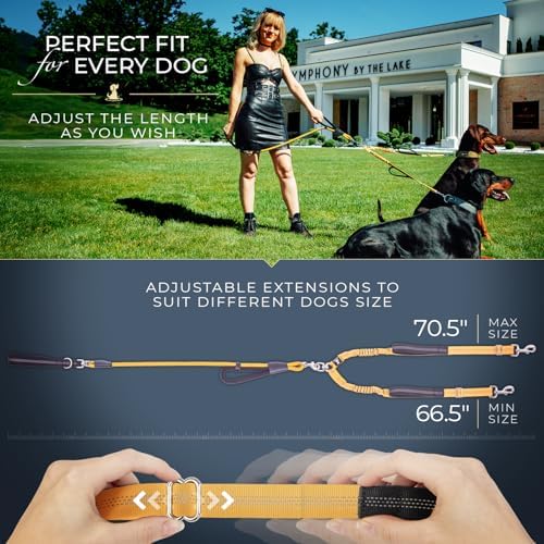 Premium Double Leash for Two Dogs, Medium & Large Breeds - Image 6