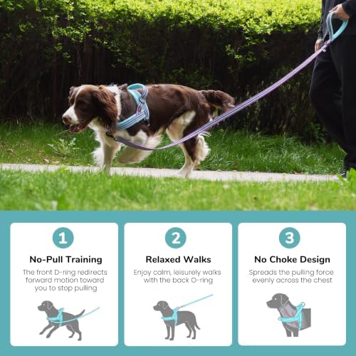 Didog No Pull Dog Harness for Medium Dogs, Soft Flannel Padded, Mixed-Blue - Image 4