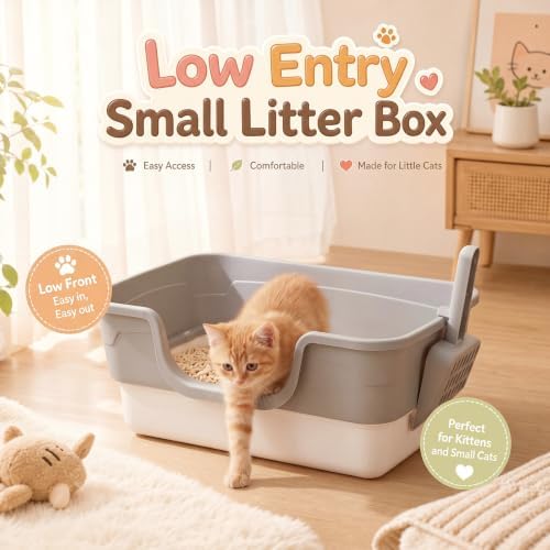 Bokon 2 Pack Small Cat Low Entry Litter Box, Kitty Litter Pan - Image 2