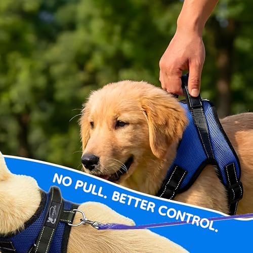 No Pull Reflective Adjustable Dog Harness - Image 6