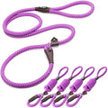 Fida Slip Lead Dog Leash 5 Pack, 6 FT x 1/2" Dog Training Leash by Fida