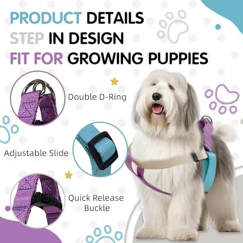 Tri-Color XS Dog Harness, Adjustable Step-in Design Puppy Harness, Heavy Duty - Image 4
