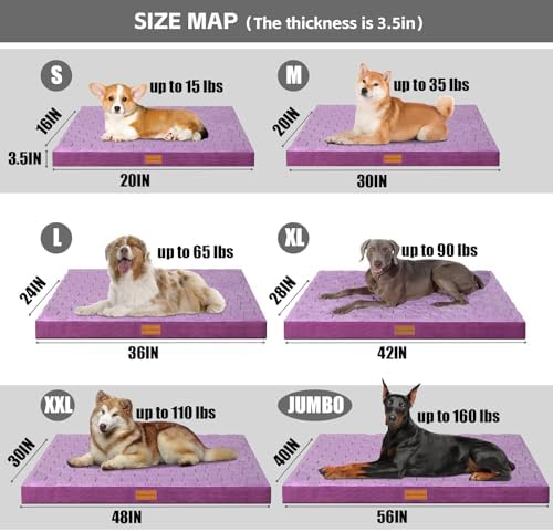 Patas Lague Orthopedic Dog Bed Washable Pet Crate Mat 30''X20'' Purple - Image 5