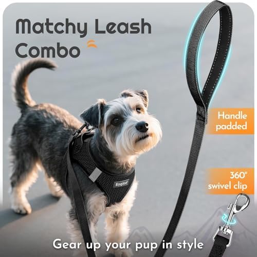 Eagloo Small Dog Harness and Leash Set, Step in Medium Small Puppy Pet Vest - Image 6