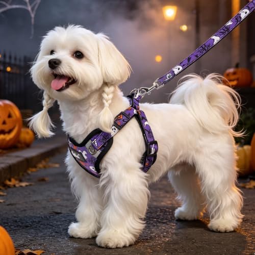 PUPTECK Halloween Dog Harness and Leash Set Small Sized, Step in No Pull - Image 5