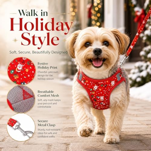 Step in Christmas Xmas Day Dog Harness Leash Set- All Weather Reflective - Image 3