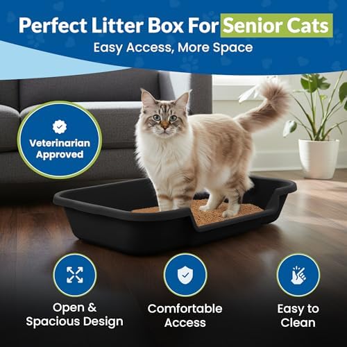 KittyGoHere Senior Cat Litter Box Large - Image 2