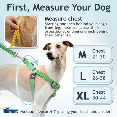 KRUZ No Pull Dog Harness Heavy-Duty Pet Harness - Image 3