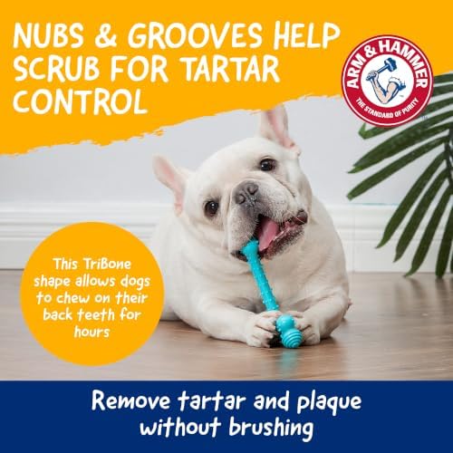 Arm & Hammer Nubbies T-Bone Dental Dog Chew Toy, Peanut Butter Flavor - Image 3