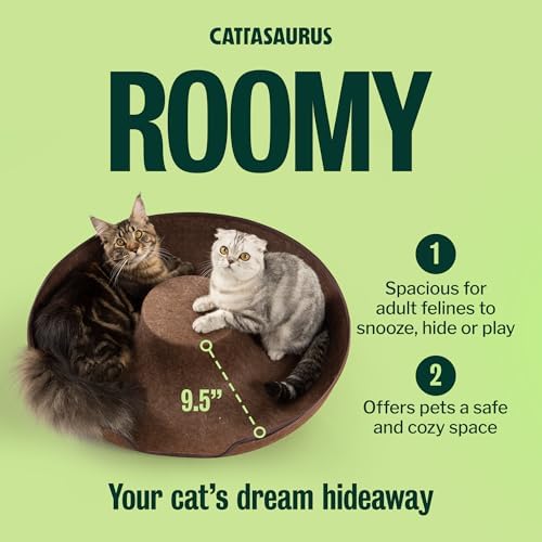Cattasaurus Peekaboo Cat Cave Donut - Image 4
