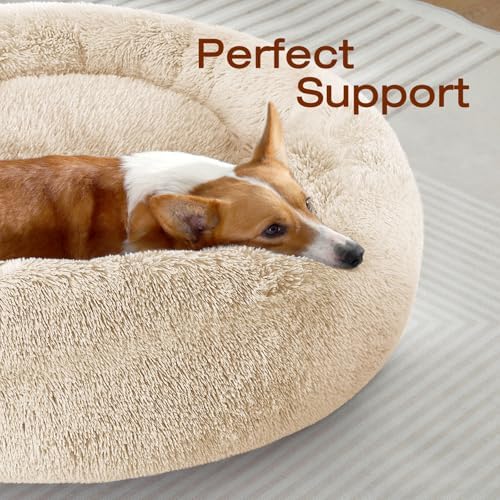 JOLLYVOGUE Dog Beds Large Sized Dog, Calming Anti-Anxiety Dog Bed, Fluffy Donut - Image 2