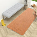OLANLY Dog Door Mat for Muddy Paws 54x24, Super Absorbent Chenille Mud Mat by OLANLY