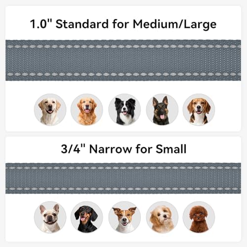 Joytale Reflective Dog Leash for Small Dogs, 6 FT x 3/4" - Image 6